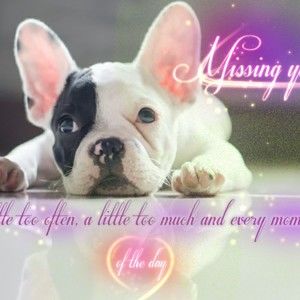 Meet your Posher, Jayme